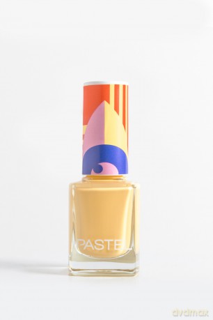 PASTEL LAKIER DO PAZNOKCI 460