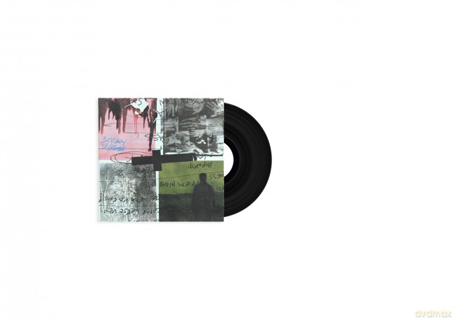 Nothing But Thieves: Stray Dogs [Winyl]