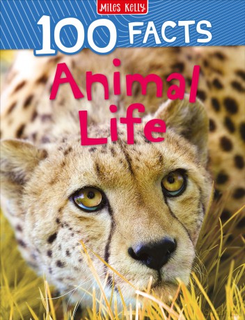 100 Facts Animal Life: Bursting with Detailed Images, Activities and Exactly 100 Amazing Facts: The Perfect Non-Fiction Book for Kids and Reluctant Readers Aged 7 Plus - Kelly Miles [KSIĄŻKA]