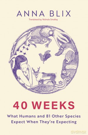 40 Weeks: What Humans and 81 Other Species Expect When They're Expecting - Anna Blix [KSIĄŻKA]