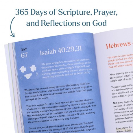 A Beautiful Year with Jesus (SC): The Daily Devotional For 365 Days in the Bible - Alabas Co. [KSIĄŻKA]