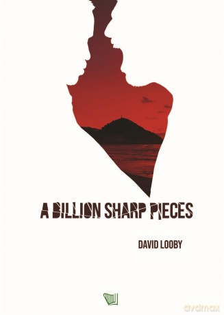 A Billion Sharp Pieces - David Looby [KSIĄŻKA]