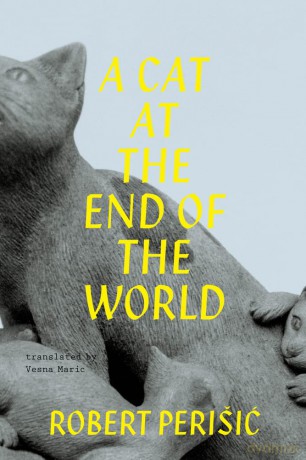 A Cat At the End of the World - Vesna Maric [KSIĄŻKA]