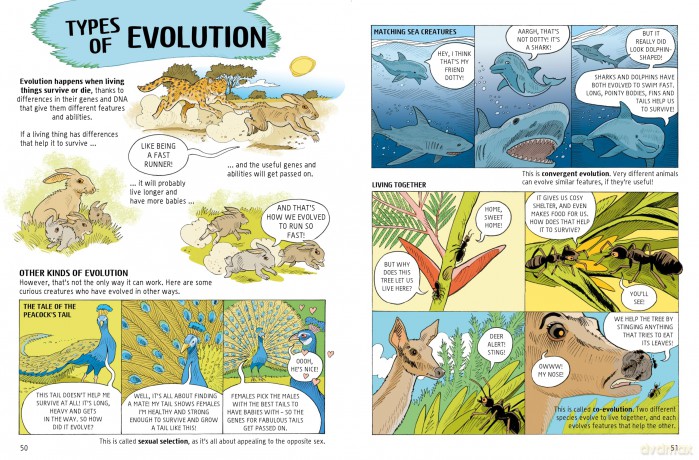 A Comic Strip History of Evolution: From Hot Rocks to Humans (A Comic Strip History of Planet Earth) - Anna Claybourne [KSIĄŻKA]