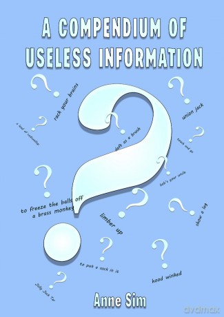 A Compendium Of Useless Information - Anne Sim [KSIĄŻKA]