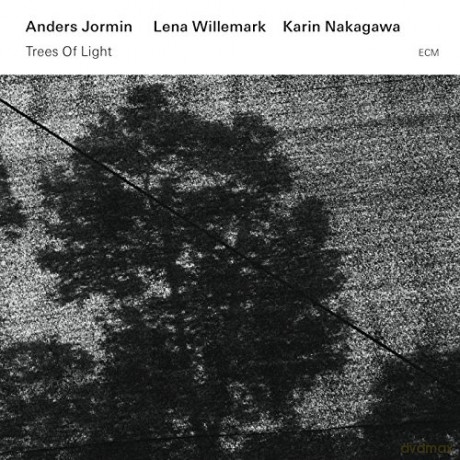 Anders Jormin: Trees Of Light [CD]