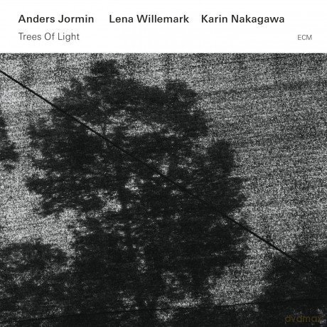 Anders Jormin: Trees Of Light [CD]