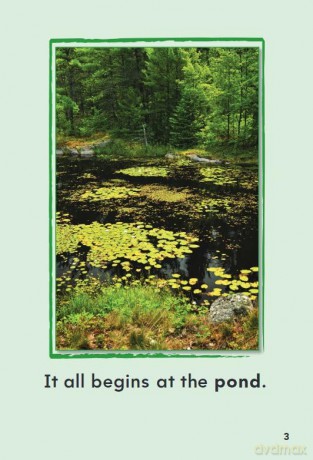 A Frog's Life (Time for Kids(r) Informational Text) - Dona Herweck Rice [KSIĄŻKA]