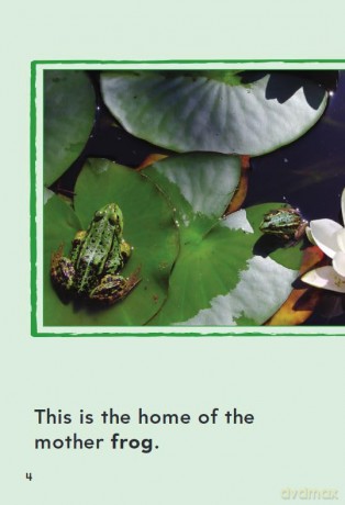 A Frog's Life (Time for Kids(r) Informational Text) - Dona Herweck Rice [KSIĄŻKA]