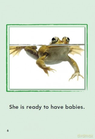 A Frog's Life (Time for Kids(r) Informational Text) - Dona Herweck Rice [KSIĄŻKA]