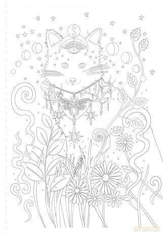A Mystical Coloring Book: Unlock Your Magic: 50 inspiring images to color. - Sofia Liotta [KSIĄŻKA]