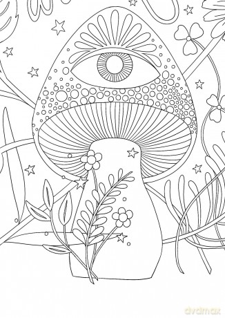 A Mystical Coloring Book: Unlock Your Magic: 50 inspiring images to color. - Sofia Liotta [KSIĄŻKA]
