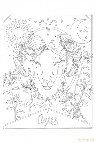 A Mystical Coloring Book: Zodiac Magic: 50 inspiring images to color. - Sofia Liotta [KSIĄŻKA]