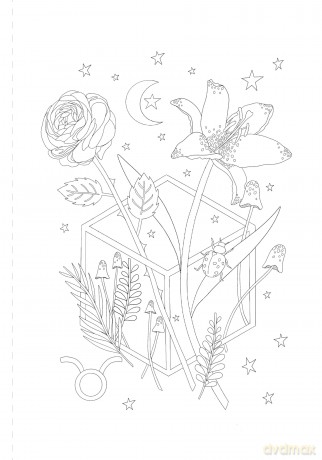 A Mystical Coloring Book: Zodiac Magic: 50 inspiring images to color. - Sofia Liotta [KSIĄŻKA]
