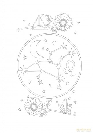 A Mystical Coloring Book: Zodiac Magic: 50 inspiring images to color. - Sofia Liotta [KSIĄŻKA]