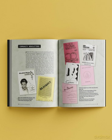 A queer scrapbook: Britain and Ireland since 1945 - Matt (Ed)Et Al Cook [KSIĄŻKA]
