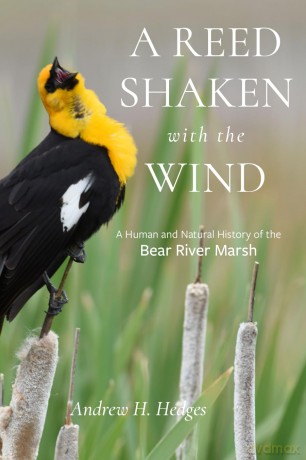 A Reed Shaken with the Wind: A Human and Natural History of the Bear River Marsh (Utah Series on Great Salt Lake and the Great Basin) - Andrew H. Hedges [KSIĄŻKA]