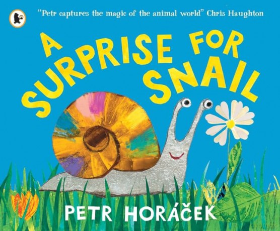 A Surprise for Snail - Petr Horacek [KSIĄŻKA]