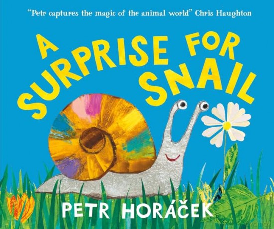 A Surprise for Snail - Petr Horacek [KSIĄŻKA]