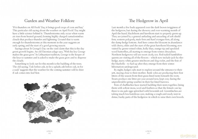 A Year in Nature: A Celebration of the Seasons - Lia Leendertz [KSIĄŻKA]