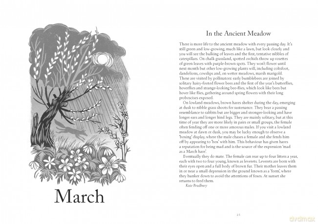 A Year in Nature: A Celebration of the Seasons - Lia Leendertz [KSIĄŻKA]