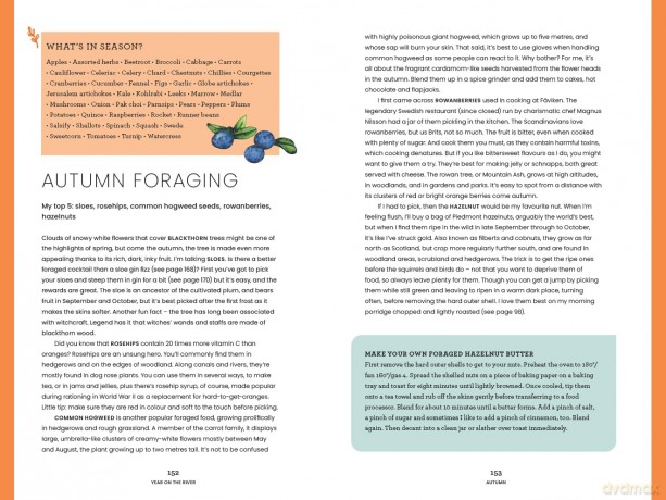 A Year on the River: A Boater's Guide to Growing, Foraging, Storing and Cooking - Fiona Sims [KSIĄŻKA]