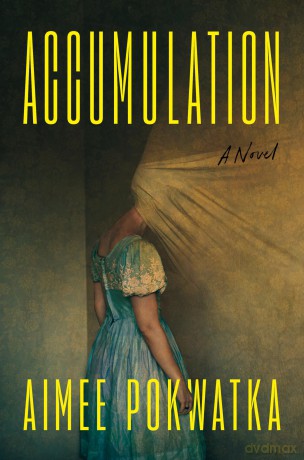 Accumulation - Aimee Pokwatka [KSIĄŻKA]