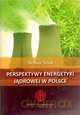Perspektywy energetyki jądrowej w Polsce - Tomasz Teluk [KSIĄŻKA]