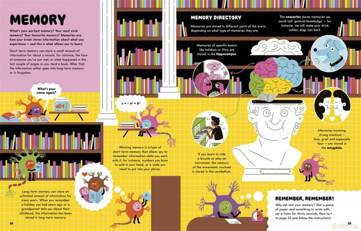 All in the Mind: A guide to your brilliant brain! - Gill Arbuthnott [KSIĄŻKA]