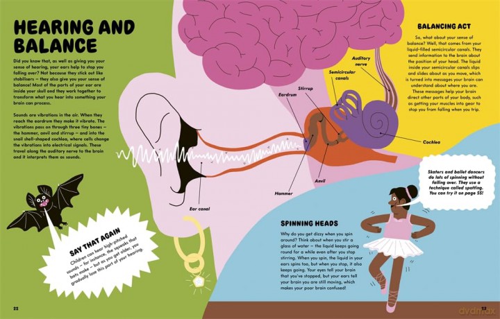 All in the Mind: A guide to your brilliant brain! - Gill Arbuthnott [KSIĄŻKA]
