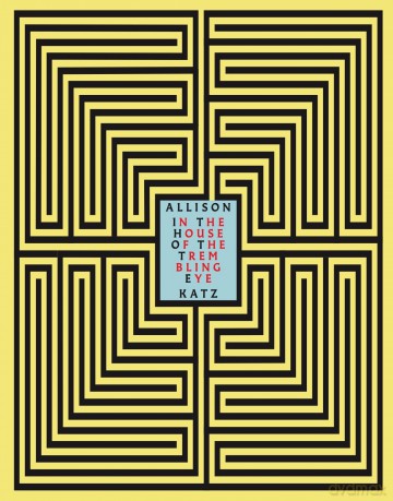 Allison Katz - In the House of the Trembling Eye - Unknown [KSIĄŻKA]