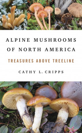 Alpine Mushrooms of North America: Treasures Above Treeline - Cathy Cripps [KSIĄŻKA]