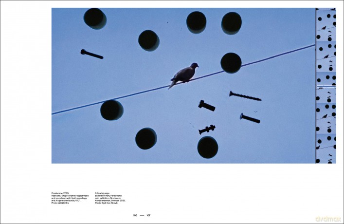 Alt Gar Bra: An Adage for Contemporary Art - Nicolas Surlapierre [KSIĄŻKA]