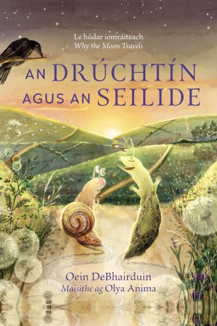 An Drúchtín agus an Seilide - Debhairduin O [KSIĄŻKA]