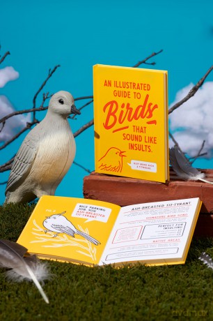 An Illustrated Guide to Birds that Sound like Insults - Brass Monkey [KSIĄŻKA]