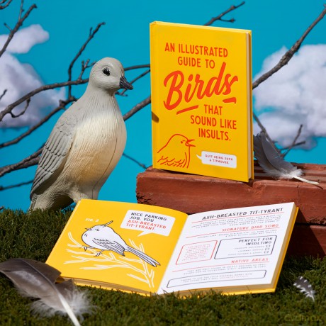 An Illustrated Guide to Birds that Sound like Insults - Brass Monkey [KSIĄŻKA]