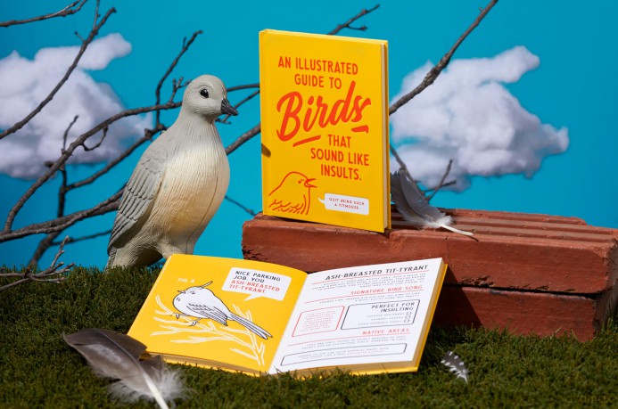 An Illustrated Guide to Birds that Sound like Insults - Brass Monkey [KSIĄŻKA]