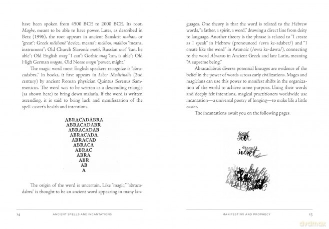 Ancient Spells and Incantations: Echoes of Magic Through the Ages and Across Cultures - Enid Baxter Ryce [KSIĄŻKA]