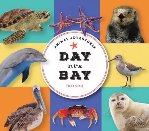 Animal Adventures: Day in the Bay - Fiona Craig [KSIĄŻKA]