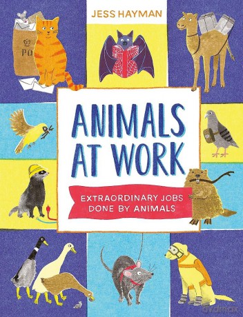 Animals at Work: extraordinary Jobs Done by Animals - Jess Hayman [KSIĄŻKA]