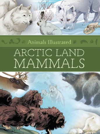 Animals Illustrated: Arctic Land Mammals [KSIĄŻKA]