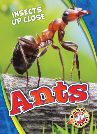 Ants (Insects Up Close) - Patrick Perish [KSIĄŻKA]
