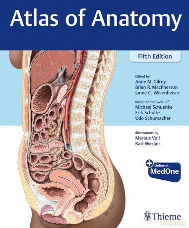 Atlas of Anatomy - Anne M. Gilroy [KSIĄŻKA]