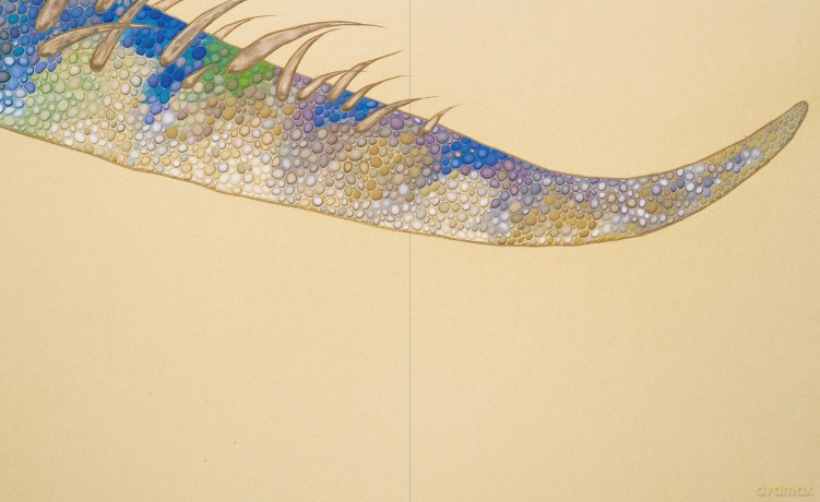 Atsushi Mizushima Works of Dinosaur Art × Japanese-style Painting - Atsushi Mizushima [KSIĄŻKA]