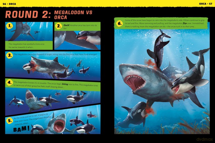 Battle of the Beasts: Megalodon - Karelle Tobias [KSIĄŻKA]