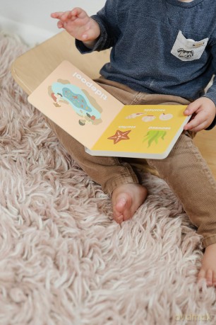Beach Baby: Board Book for Early Learners (Let's Go! Baby) - Danielle, Il Wilson [KSIĄŻKA]
