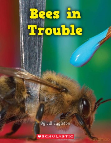 Bees in Trouble (Connectors) - Nunweek Joseph [KSIĄŻKA]