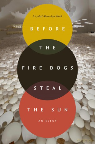 Before the Fire Dogs Steal the Sun: An Elegy (Next Wave: New Directions in Women's Studies) [KSIĄŻKA]