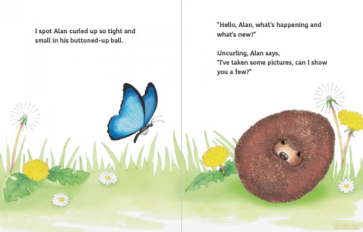Bella Finds Grace: A dyslexia-friendly book for 5-7's about reading, adventure and friendship - Sarah Grace [KSIĄŻKA]
