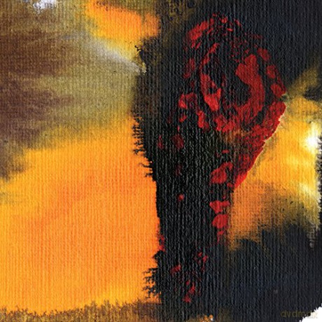 Polar Bear: Same As You [CD]